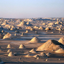Egypt Oasis Tours